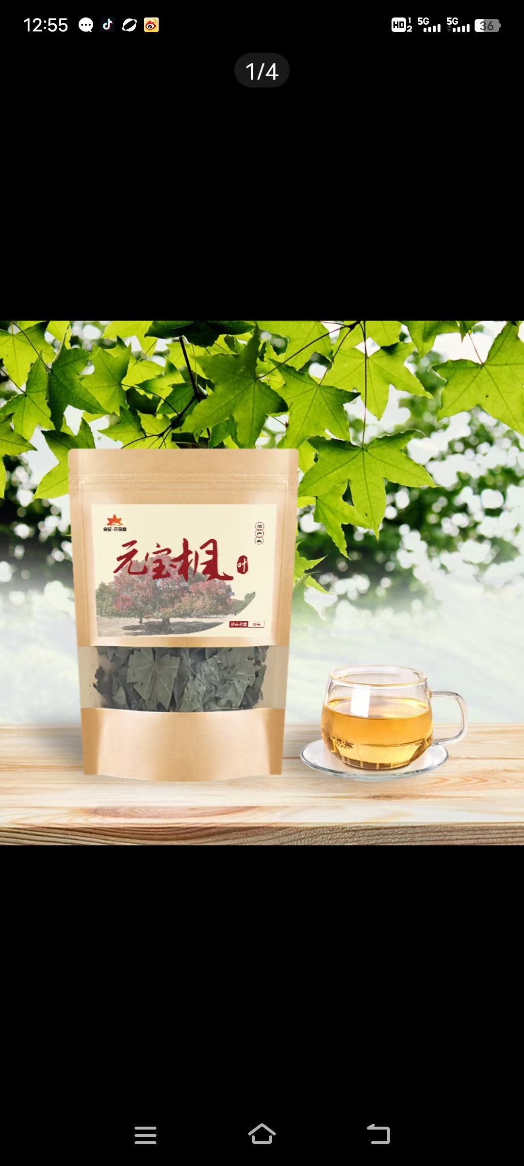 元宝枫叶茶